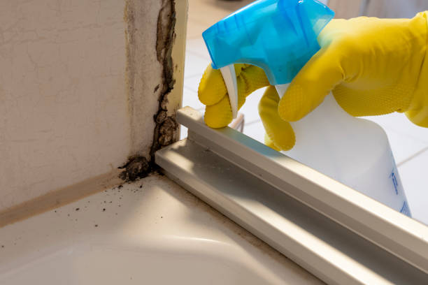 Mold Removal for HVAC Installations